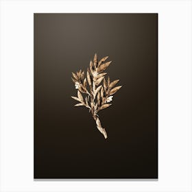 Gold Botanical Two Edged Dendrobium Flower on Chocolate Brown n.1090 Canvas Print