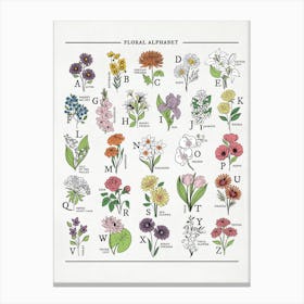 Floral Alphabet Bright & Bold Canvas Print