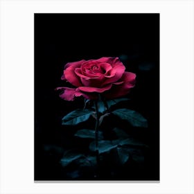 Dark Rose 150 Canvas Print