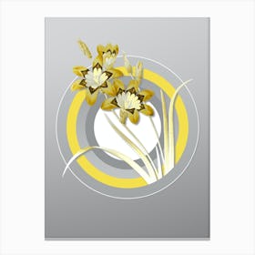 Botanical Ixia Tricolore in Yellow and Gray Gradient n.194 Canvas Print