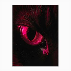 Eye Of A Cat 1 Canvas Print