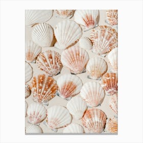 Seashell Prints Canvas Print