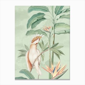 Vintage Jungle Parrots And Flowers 1 Canvas Print
