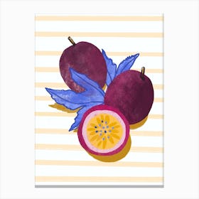 Passion Fruit 1 Canvas Print