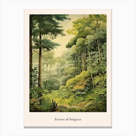 Forest Of Soignes Canvas Print