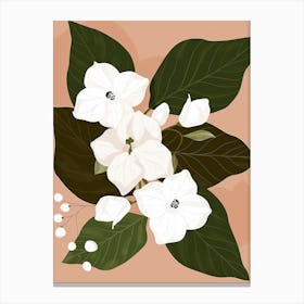 White Flowers On A Peach Background Canvas Print