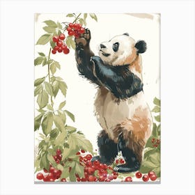 Giant Panda Standing And Reaching For Berries Storybook Illustration 6 Canvas Print