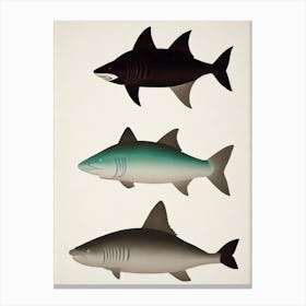 Basking Shark Vintage Poster Canvas Print