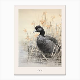 Vintage Bird Drawing Coot 2 Poster Canvas Print