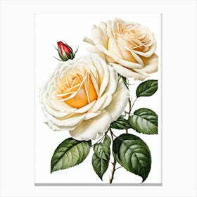 Vintage Galleria Style Rose Art Painting 7 Canvas Print