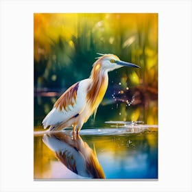 Heron In The Water Canvas Print