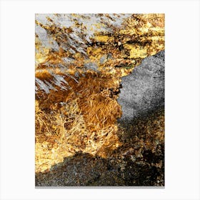 Black and Gold Abstract Canvas Print