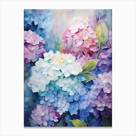 Hydrangeas 15 Canvas Print