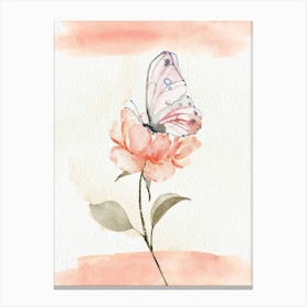 Butterfly On A Pink Rose Canvas Print