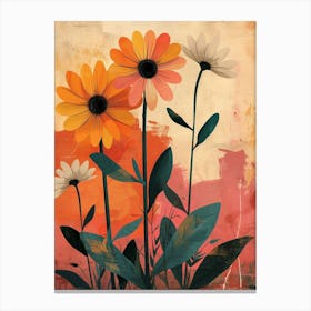 Namaqualand Daisy Groovy 25 Canvas Print