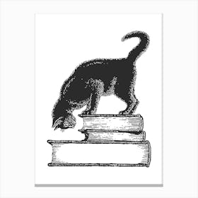 Black Cat On Books Leinwandbild