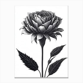 A Carnation In Black White Line Art Vertical Composition 33 Canvas Print