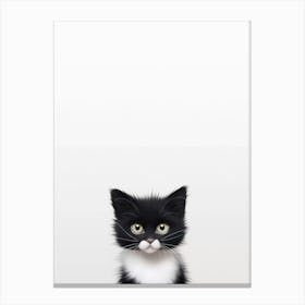 black and white cute cat Canvas Print
