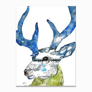Deer II Canvas Print