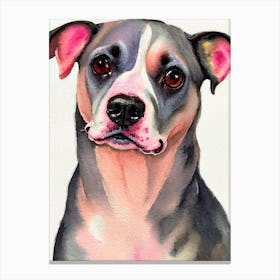 American Hairless Terrier 3 Watercolour dog Canvas Print