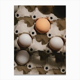 Eggs In A Carton 19 Canvas Print