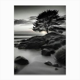 Lone Tree 32 Canvas Print