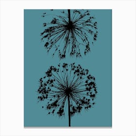 Teal black allium 1 Canvas Print