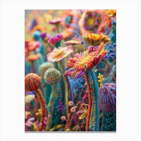 Daisies Knitted In Crochet 10 Canvas Print