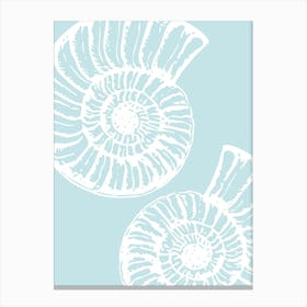 Seashells 6 Canvas Print