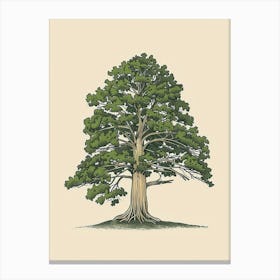 Cedar Tree Minimalistic Drawing 3 Canvas Print
