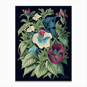 Vinca Floral 2 Botanical Vintage Poster Flower Canvas Print