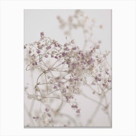 Blossoms In The Field Canvas Print