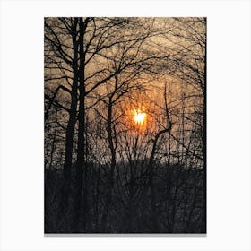 Sunrise Through The Trees Canvas Print