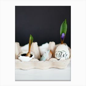 Easter Eggs 213 Canvas Print