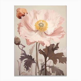 Floral Illustration Poppy 3 Canvas Print