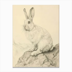 English Angora Rabbit Drawing 2 Canvas Print