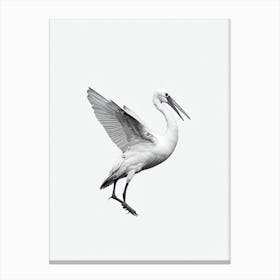 Stork B&W Pencil Drawing 1 Bird Canvas Print