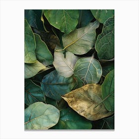 Leaves Of A Tree Canvas Print