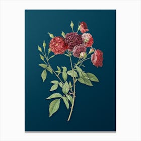 Vintage Ternaux Rose Bloom Botanical Art on Teal Blue Canvas Print