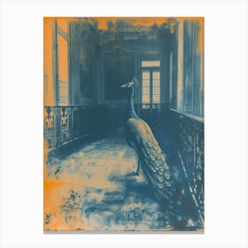 Orange & Blue Peacock In A Palace Canvas Print