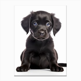 The Pitterpatterpup Canvas Print