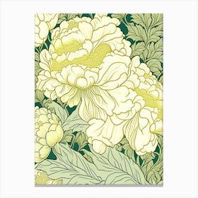 Cottage Gardens Peonies 2 Yellow Drawing Canvas Print