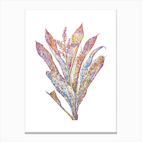 Stained Glass Cordyline Fruticosa Mosaic Botanical Illustration on White n.0346 Canvas Print