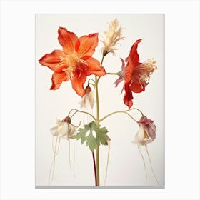 Pressed Wildflower Botanical Art Columbine 2 Canvas Print