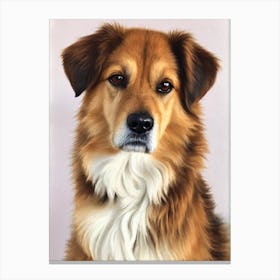 Berger Picard 3 Watercolour dog Canvas Print