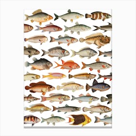 Fishes Canvas Print