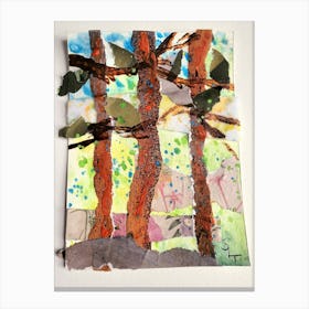 Trees In The Forest Canvas Print