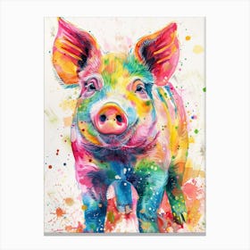Pig Colourful Watercolour 2 Canvas Print