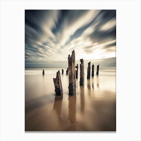 Driftwood On The Beach Canvas Print