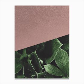 Botanic Rose Canvas Print